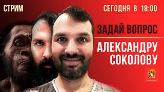 Задай вопрос Александру Соколову: новости антропологии и АНТРОПОГЕНЕЗ.РУ