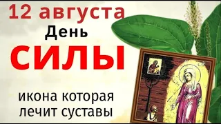 12 августа даже слабый богатырем станет. А еще возьмите самую старую вещь и отдайте ей бедность