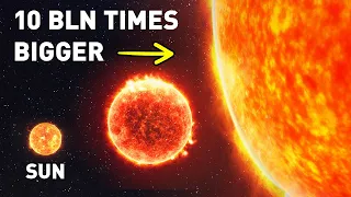 The Sun's a Grain of Sand Next to the Biggest Star in the Universe