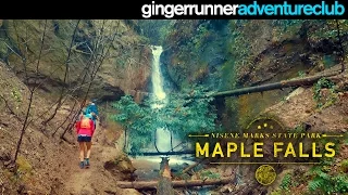 MAPLE FALLS - NISENE MARKS STATE PARK | The Ginger Runner Adventure Club