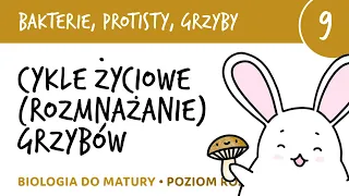 Cykle życiowe (rozmnażanie) grzybów - Bakterie, grzyby, protisty 9 - matura z biologii liceum