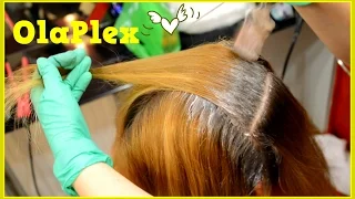 OlaPlex // Защита и уход во время покраски волос // Beauty with Dianatadi