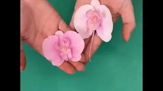 Moth Orchid Sugarpaste Flowers