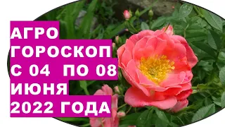 Агрогороскоп с 04 по 08 июня 2022 года