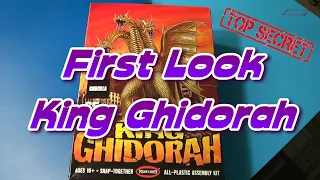 King Ghidorah キングギドラ Model Kit Review - Undisclosed Location