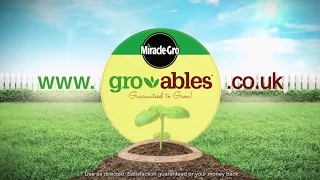 How to Use Miracle-Gro® Gro-ables® Seed Pods™