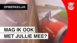 Paniek in vliegtuig door ongewenste lifter