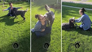 Houdini dog reunited with mom after 3 weeks. Dog zoomies #dog #puppy #dogvideos #zoomies #dogreunion