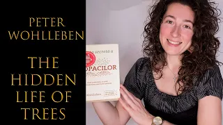 Peter Wohlleben. The hidden life of trees. Book review. Amazing interesting things about forests.