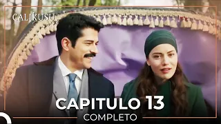 Calikusu 13 Capítulo