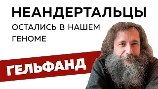 Неандертальцы остались в нашем геноме // Михаил Гельфанд