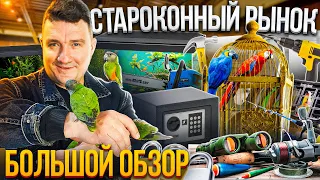 💥 Одесса Староконный рынок 💥 Тут можно купить ВСЁ!!! Обзор 19.04.2023 💥