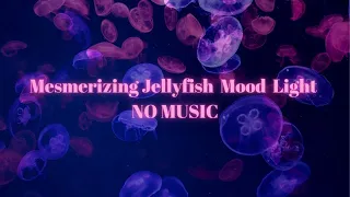 4 Hour Relaxing Jellyfish Aquarium Screensaver - Mood Lighting