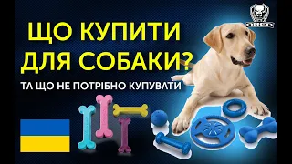 🇺🇦Що потрібно купити для собаки | Що потрібно купувати | Що не потрібно купувати |  Корисні поради