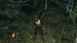 estus animation in ds2 be like