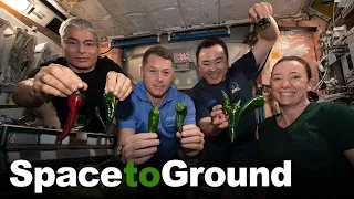 Space to Ground:  A Spice of Life:  11/05/2021