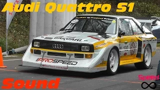 Audi Quattro S1 -- The Sound