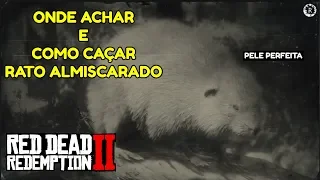 RED DEAD REDEMPTION 2 - COMO CAÇAR RATO ALMISCARADO ( Dicas )