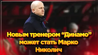 Новым тренером "Динамо" может стать Марко Николич