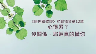 約翰福音12章/陪你讀聖經《心很累？ 沒關係，耶穌真的懂你 》