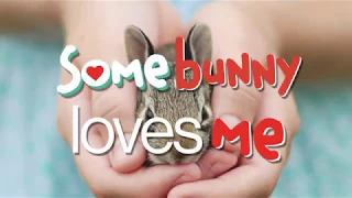 Somebunny Loves Me - A book about pets from Parry Gripp!