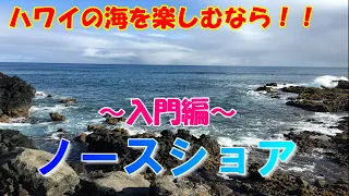 ハワイの海を楽しむなら、ノースショアの海に行きましょう！