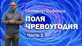 Семинар Софооса в Сочи от 24.10.2020 "Поля чревоугодия" часть 1.