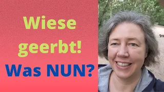 Mein Betreuter hat eine Wiese geerbt - was nun?