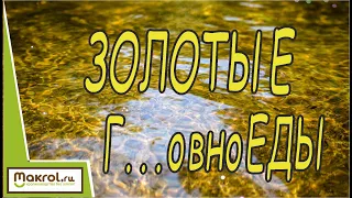 💥ОНИ способны удвоить прибыль кроликовода.🐰 Воскресные посиделки в Центре МИРА Макляк Макрол