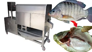 fish cutting and gutting machine，Fish viscera cleaning machine，fish processing equipment