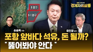 [원본영상] 유인창 (전)한국석유지질학회 회장ㅣ"포항 앞바다 140억 배럴" 어떻게 해석해야 할까?