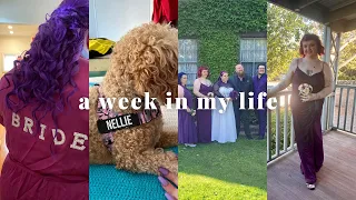 WEEKLY VLOG! | my cousins wedding, exciting packages, & a dog friendly co review! | Chloe Benson