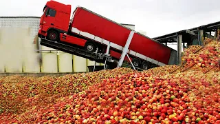 HOW industrial APPLE JUICE is MADE🍎 | How APPLE JUICE is PRODUCED in FACTORIES | Production Process