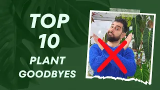 🌿 Top 10 Houseplants I Ditched & Why! 🚫 #PlantFail