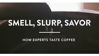 Smell, Slurp, Savor: How Experts Taste Coffee