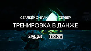 Тренировка в данже ПАУКАНа. Сталкер Онлайн Stalker Online Stay Out ЕКБ сервер.