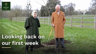 An extraordinary first week of The Queen's Green Canopy