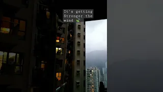 Typhoon Saola in Hong Kong 🇭🇰 Update #typhoon #Saolatyphoon #shorts