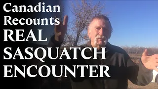 Canadian Man Recounts Real Sasquatch Encounter Near Harrison Hot Springs, British Columbia