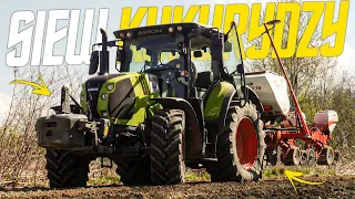 ☆ Siew Kukurydzy 2022 ! ✔ GR Kabiesz ! ✔ ☆ Claas Arion 510 | Kuhn Maxima 2  ☆