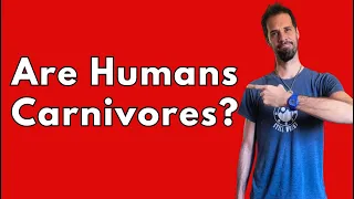 HUMANS VS CARNIVORES