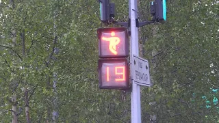 Пешеходный светофор