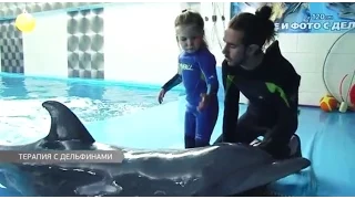 Терапия с дельфинами