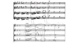 [Sulkhan Nasidze] String Quartet No.3 "Epitaph" (Score-Video)