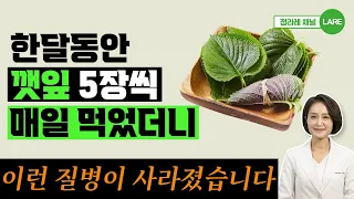 깻잎 5장을 매일 먹으면 이런 질병이 사라집니다. 깻잎 효능과 부작용 [정라레]