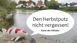 Teilwasserwechsel und Teichputz im Herbst - Koidoc´s Praxistipp