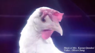 Chicken Dance