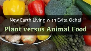 Plants versus Animals as Food Choices [New Earth Living ep. 12]