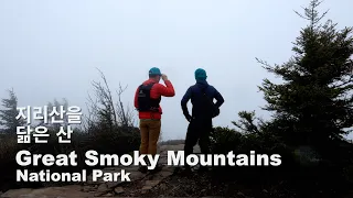 Silent Hiking -〈Alum Cave Trail 〉 Great Smoky Mountains National Park / Day Hiking