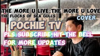 THE MORE YOU LIVE,THE MORE YOU LOVE : THE FLOCKS OF SEA GULLS , COVER POCHIE TV